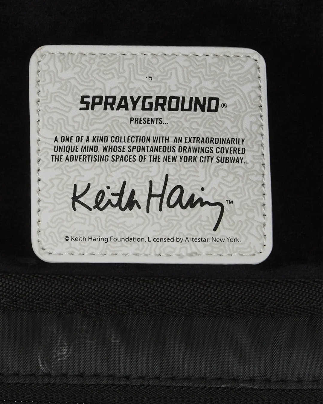KEITH HARING BIG BLUE PURSE ART BACKPACK - Image 17