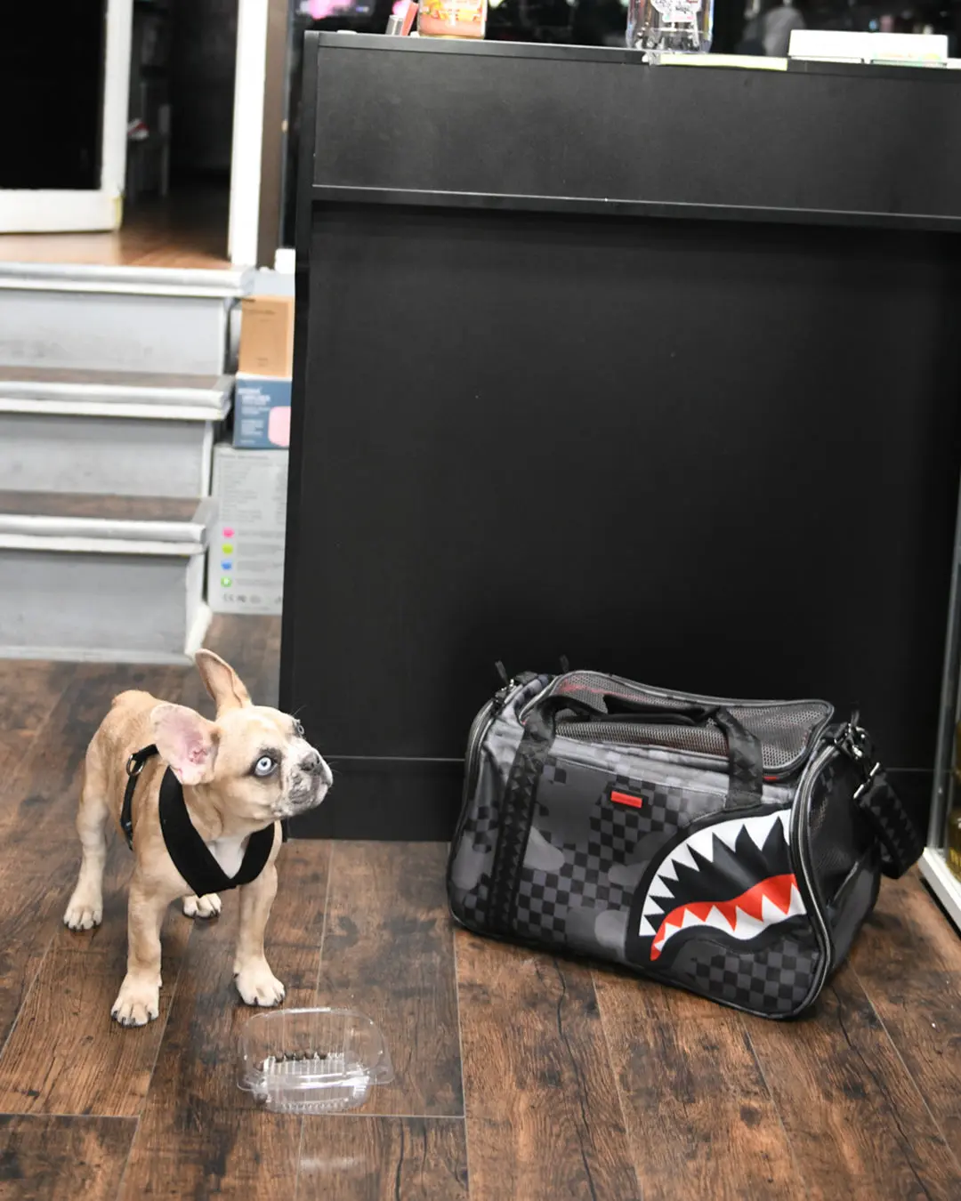 3AM PET CARRIER - Image 2