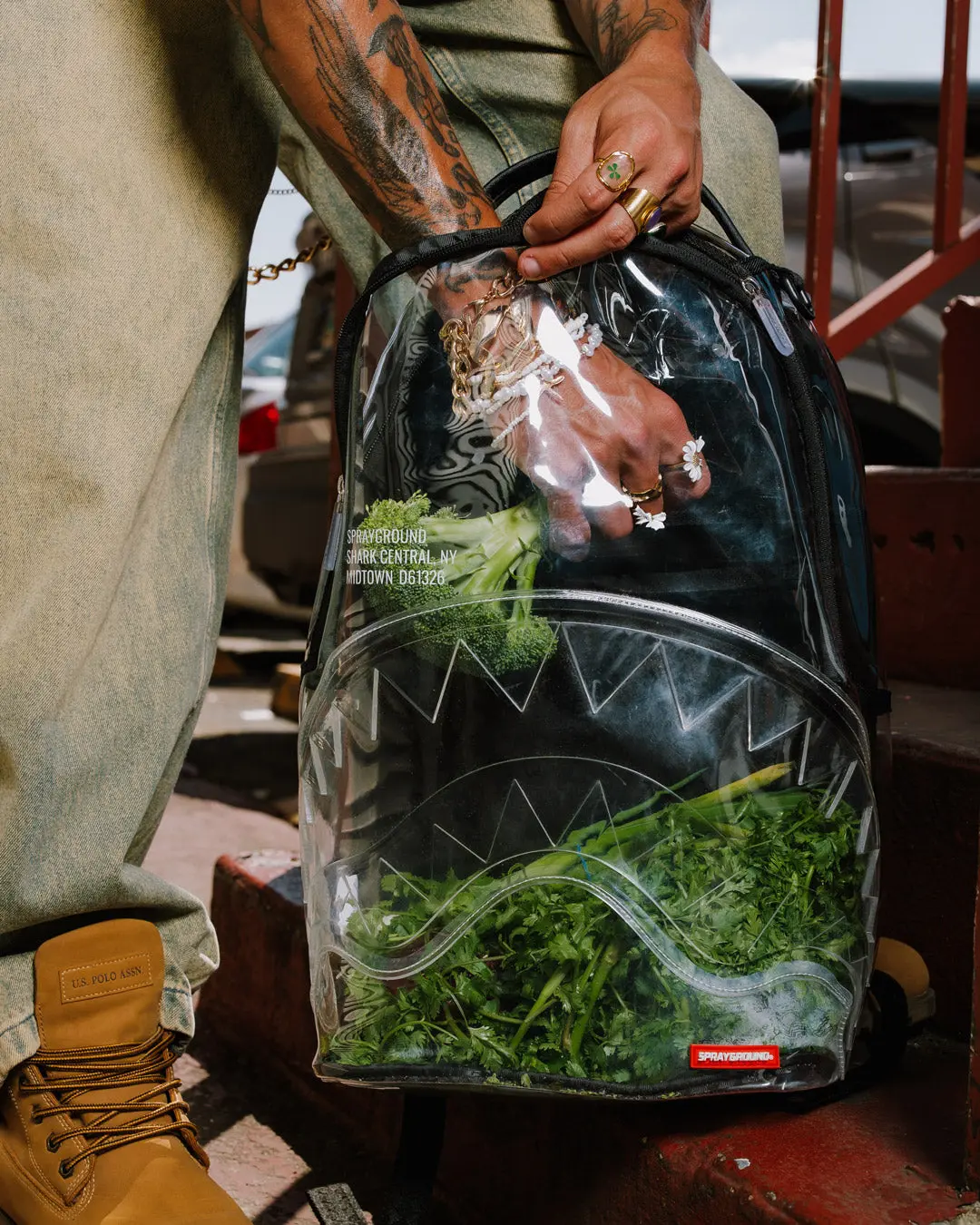 CLEAR BACKPACK - SHARK CENTRAL - Image 6