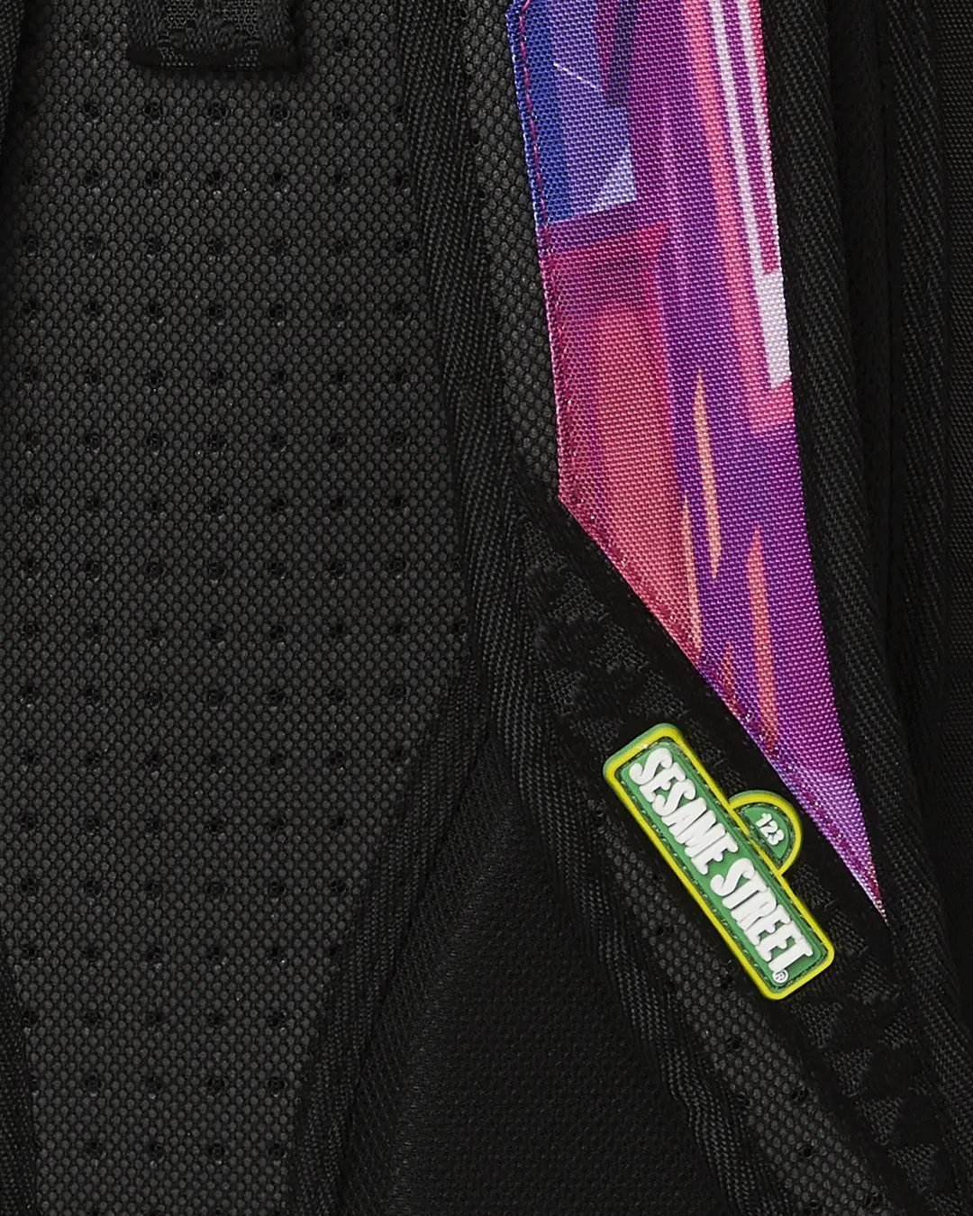 SESAME STREET FAMILIA DLXSR BACKPACK - Image 10