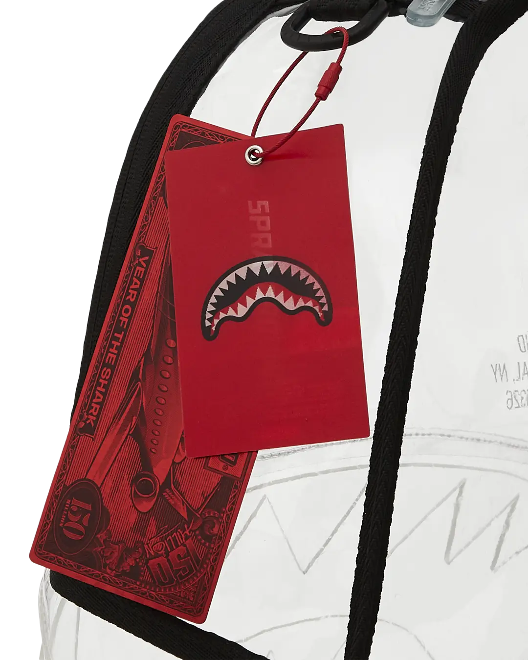 100% CLEAR BACKPACK - SHARK CENTRAL - Image 14
