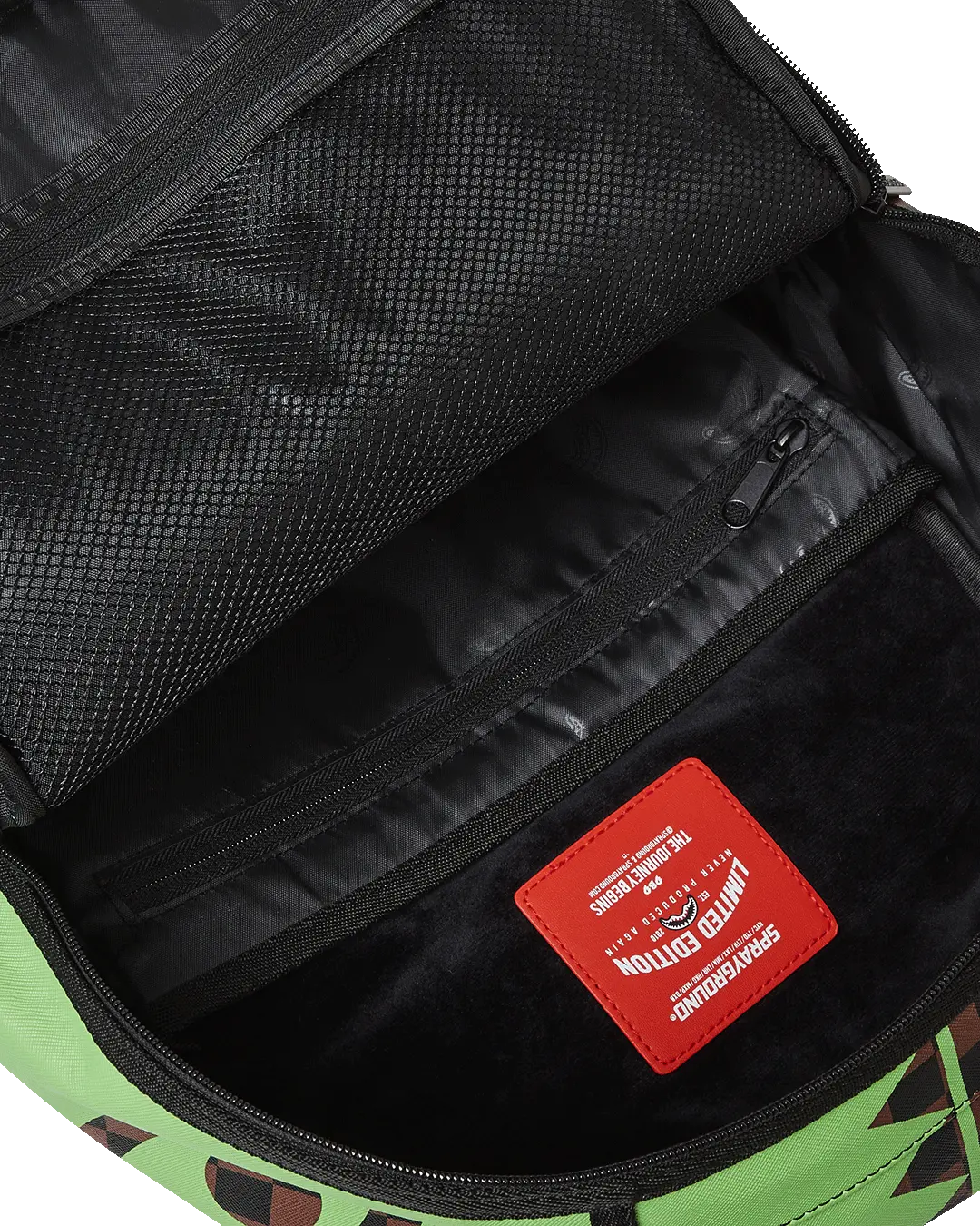 GREEN MONEY BEAR DLXSV BACKPACK - Image 12