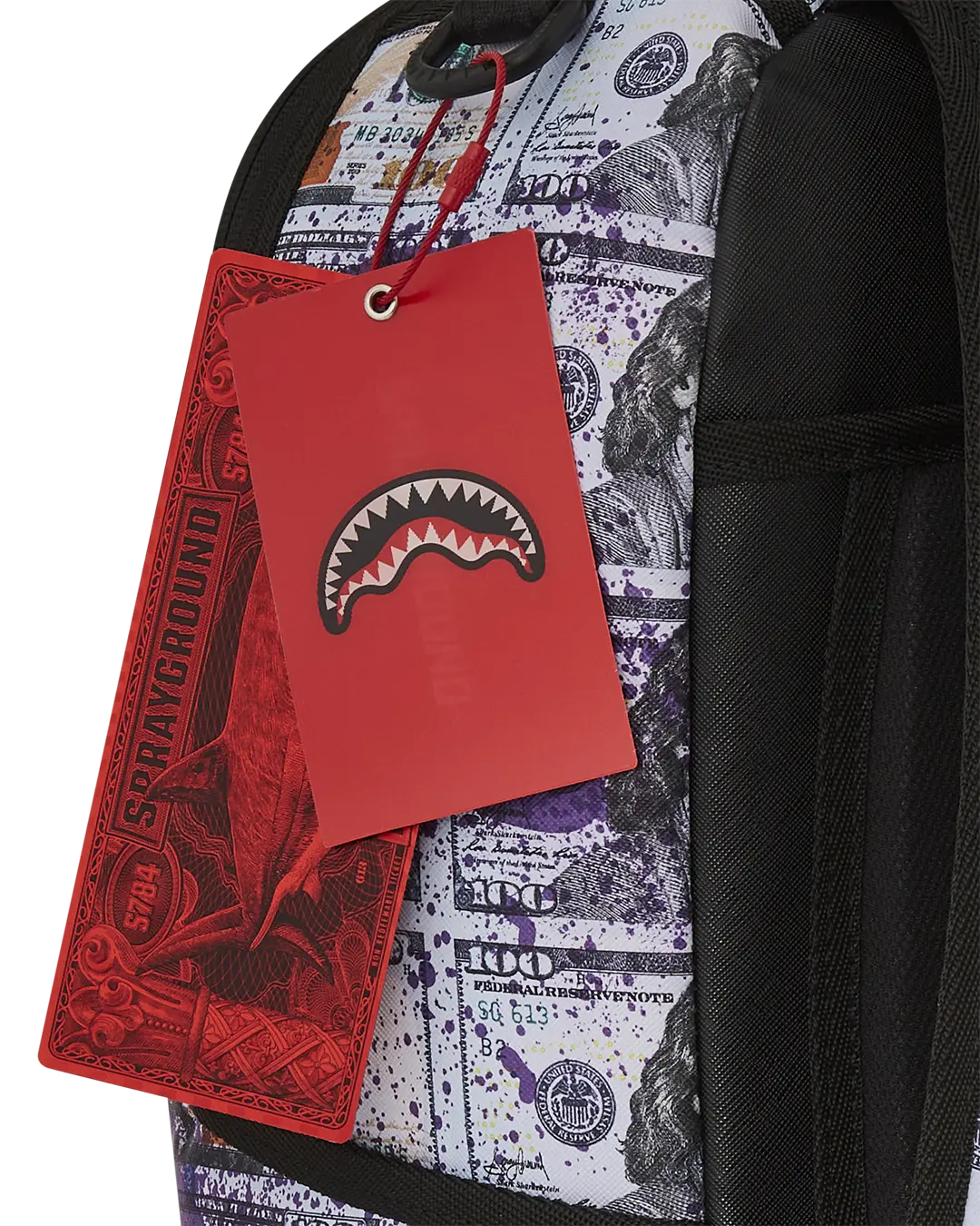 BILLIONS IN THE BANK BACKPACK - Image 15