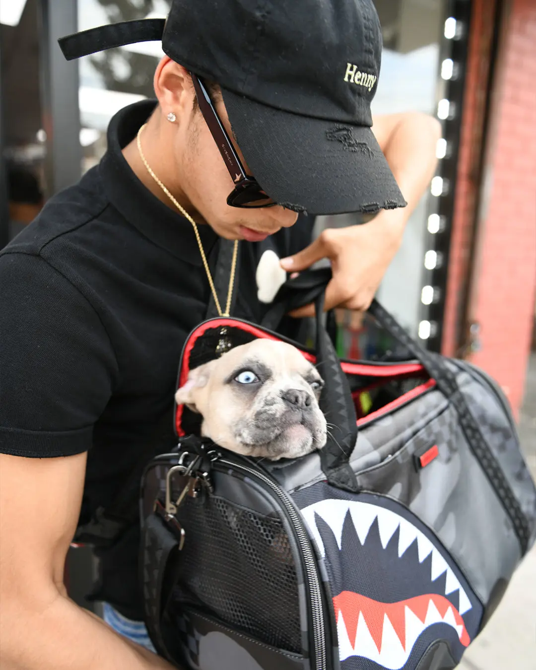 3AM PET CARRIER - Image 8