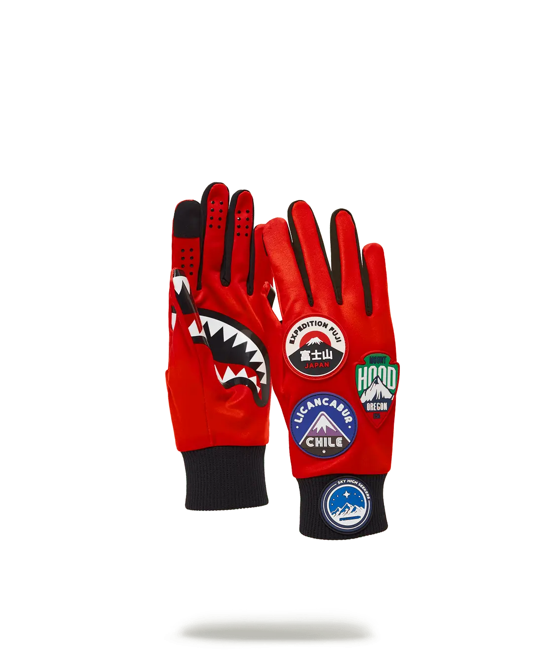 THE GLOBAL EXPEDITION GLOVES