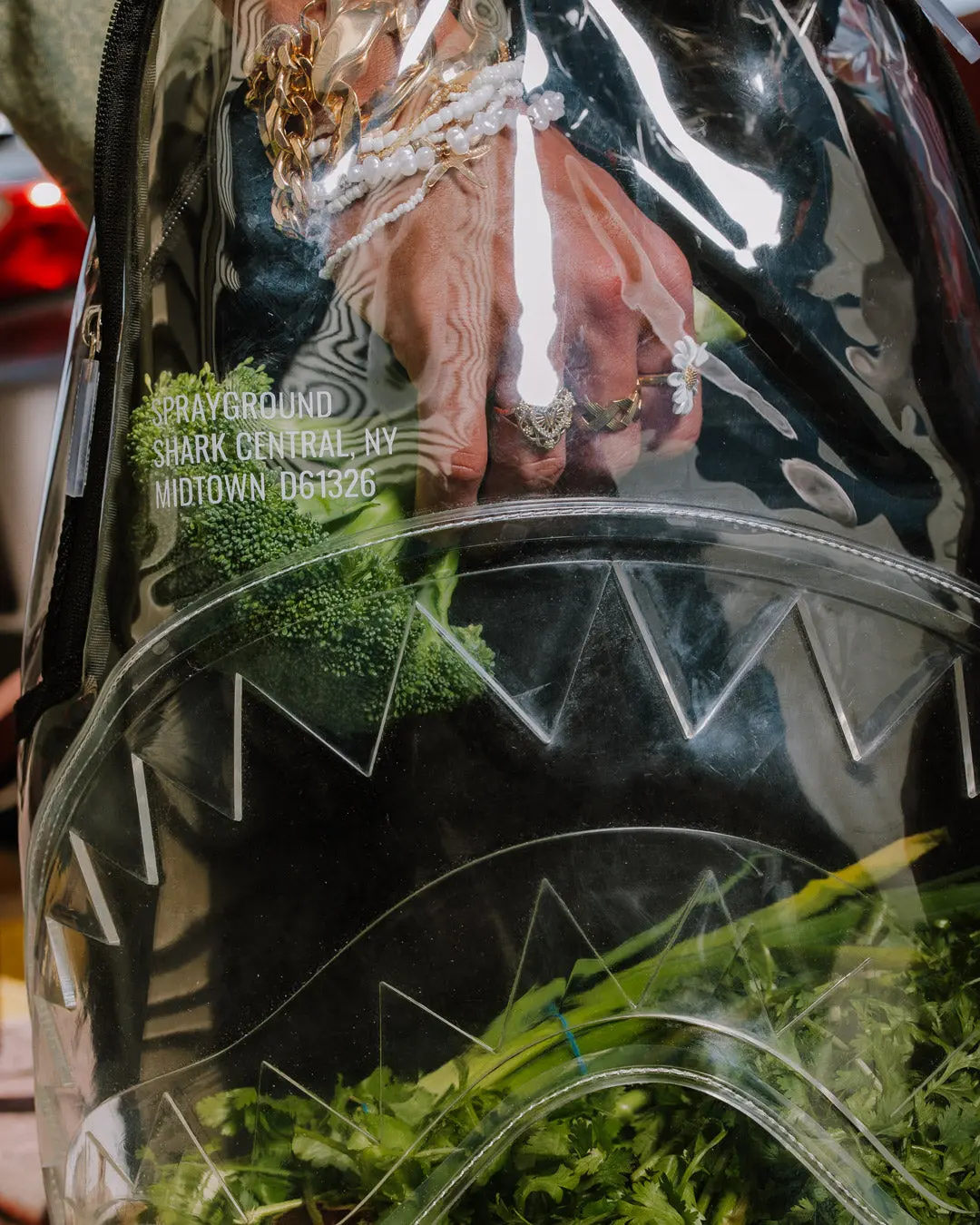 CLEAR BACKPACK - SHARK CENTRAL - Image 4