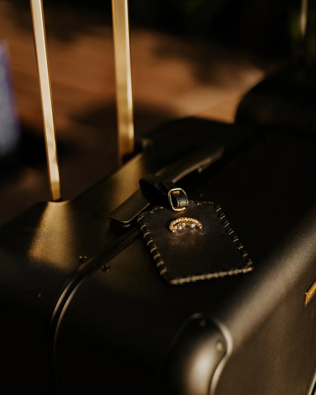 REALITY CHECK SHARKITECTURE FULL-SIZE JETBLACK LUGGAGE (GOLD HARDWARE) - Image 16