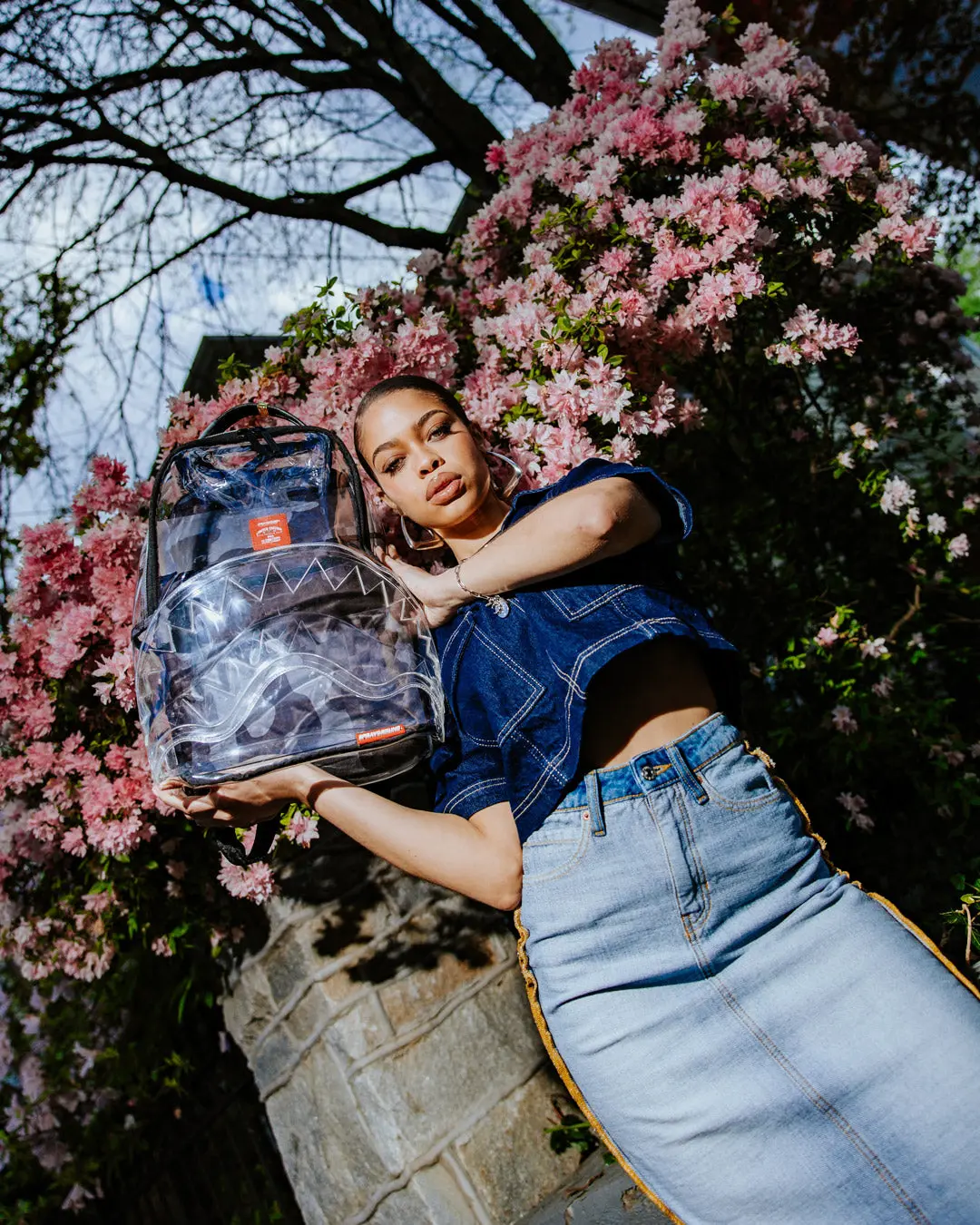 CLEAR AS NIGHT - CLEAR DLX BACKPACK - Image 4